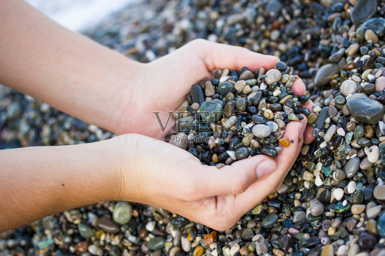 这个女孩拿着一块海石照片摄影图片