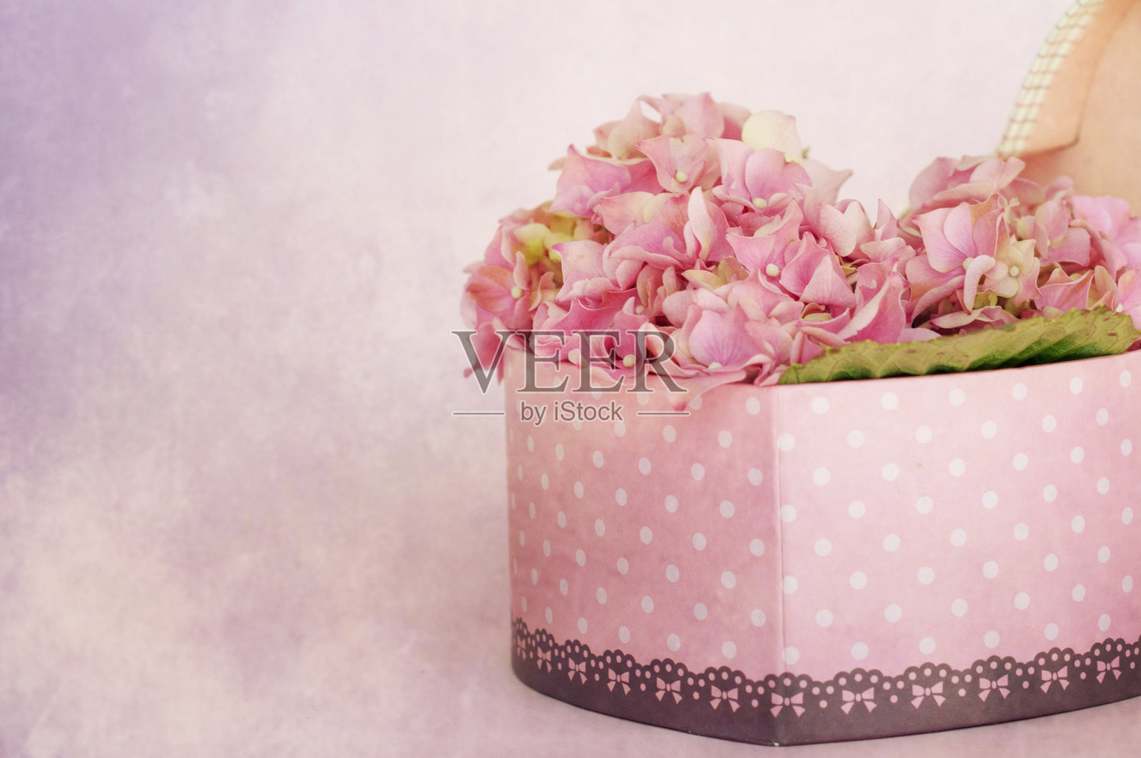 粉红色的绣球花花照片摄影图片