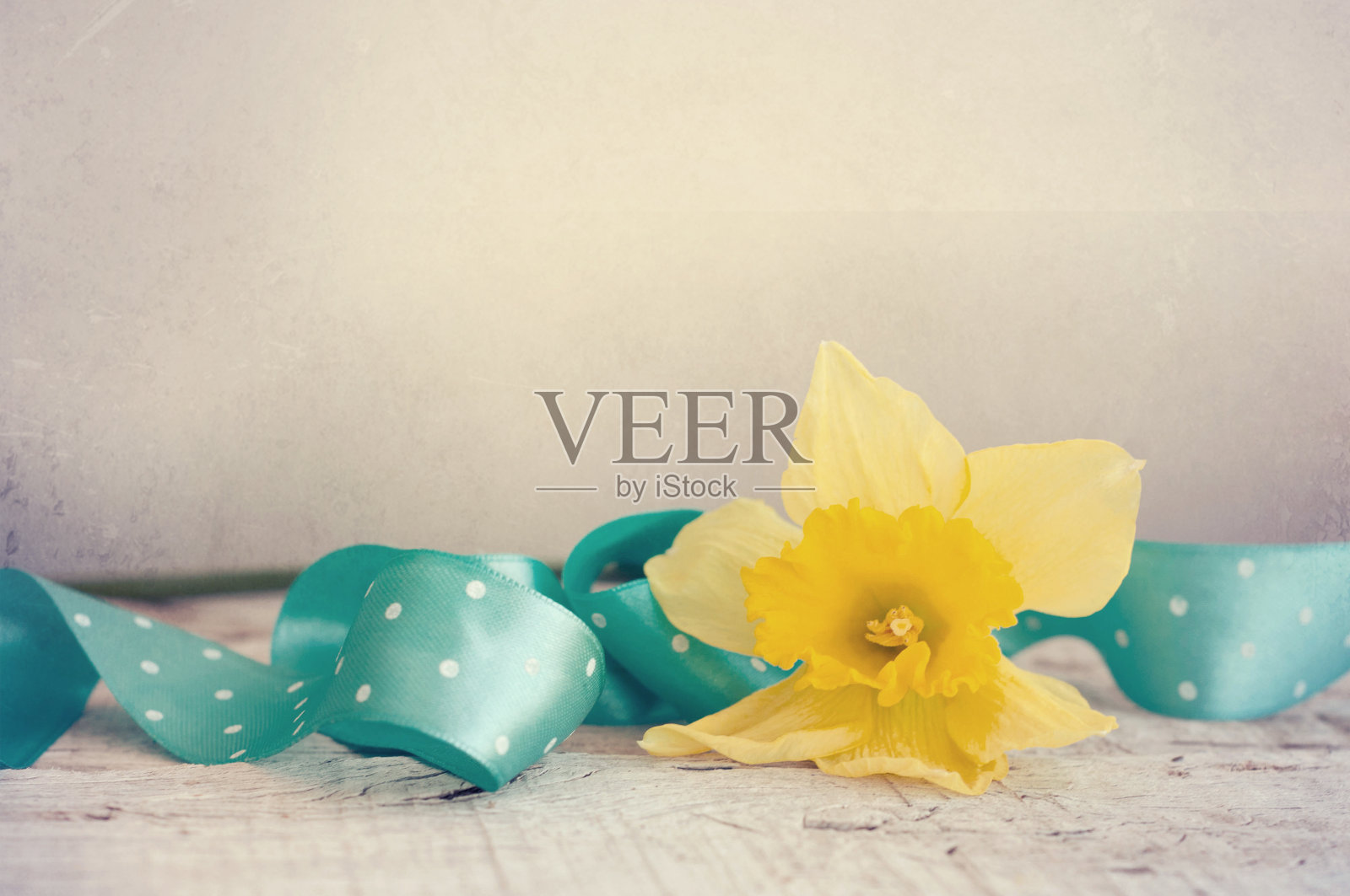 黄色的春天水仙照片摄影图片