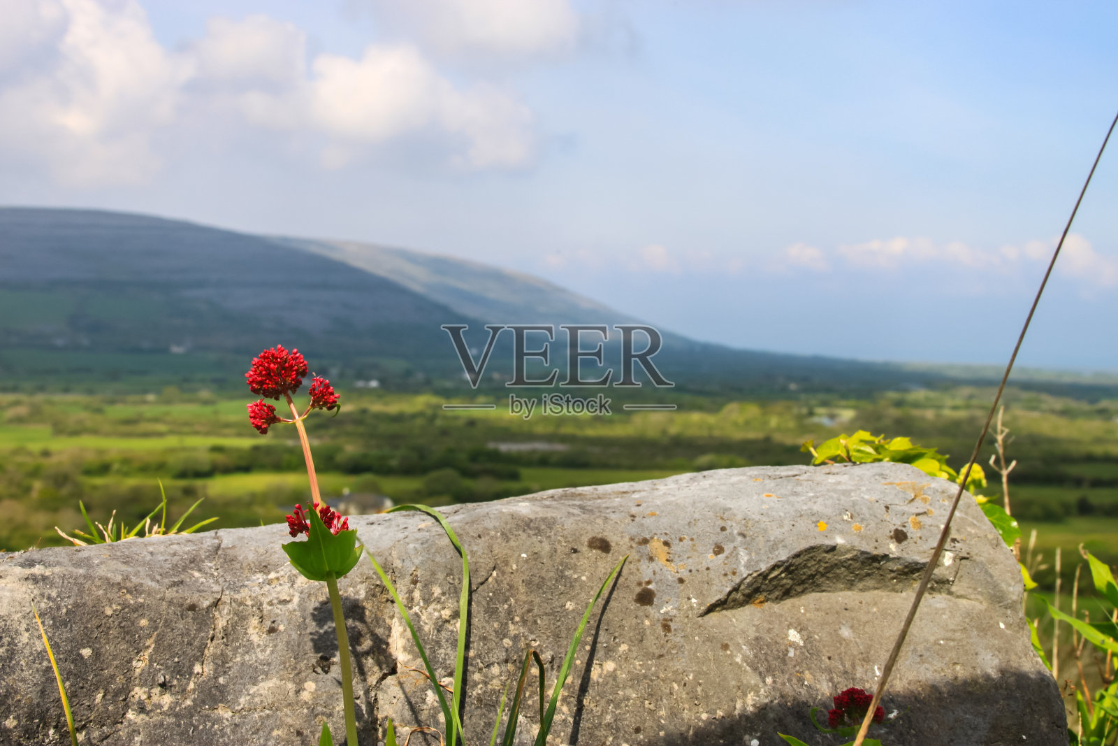 布伦,爱尔兰照片摄影图片