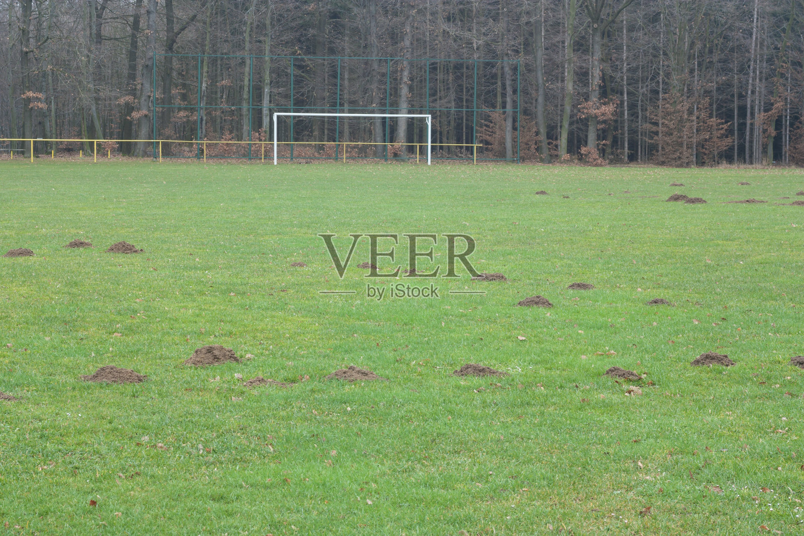 摩尔和足球照片摄影图片