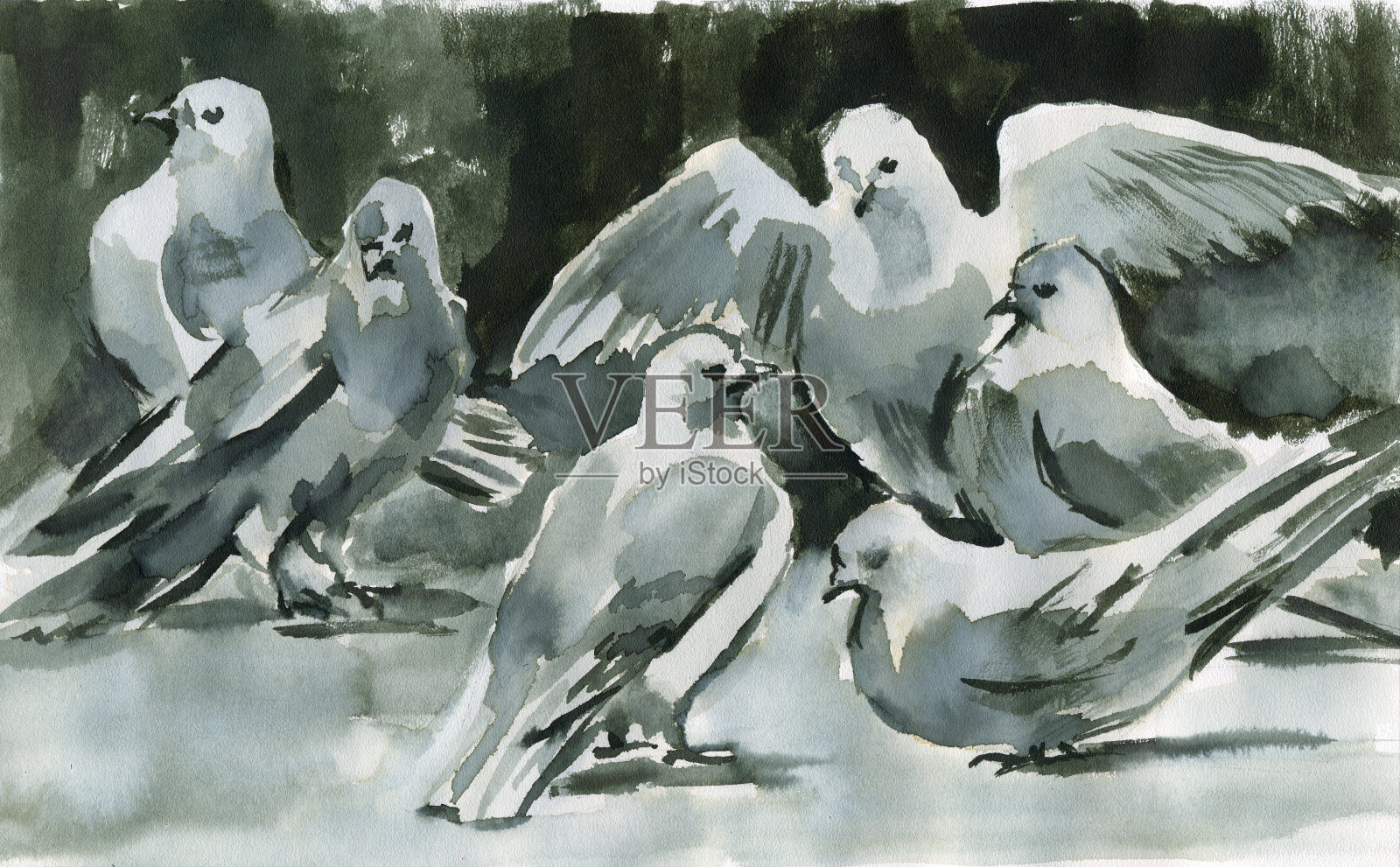 墨水鸽子插画图片素材