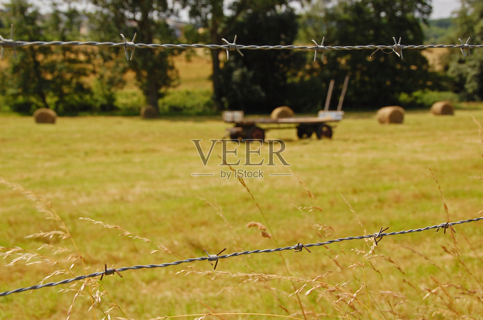 Barb铁丝栅栏照片摄影图片