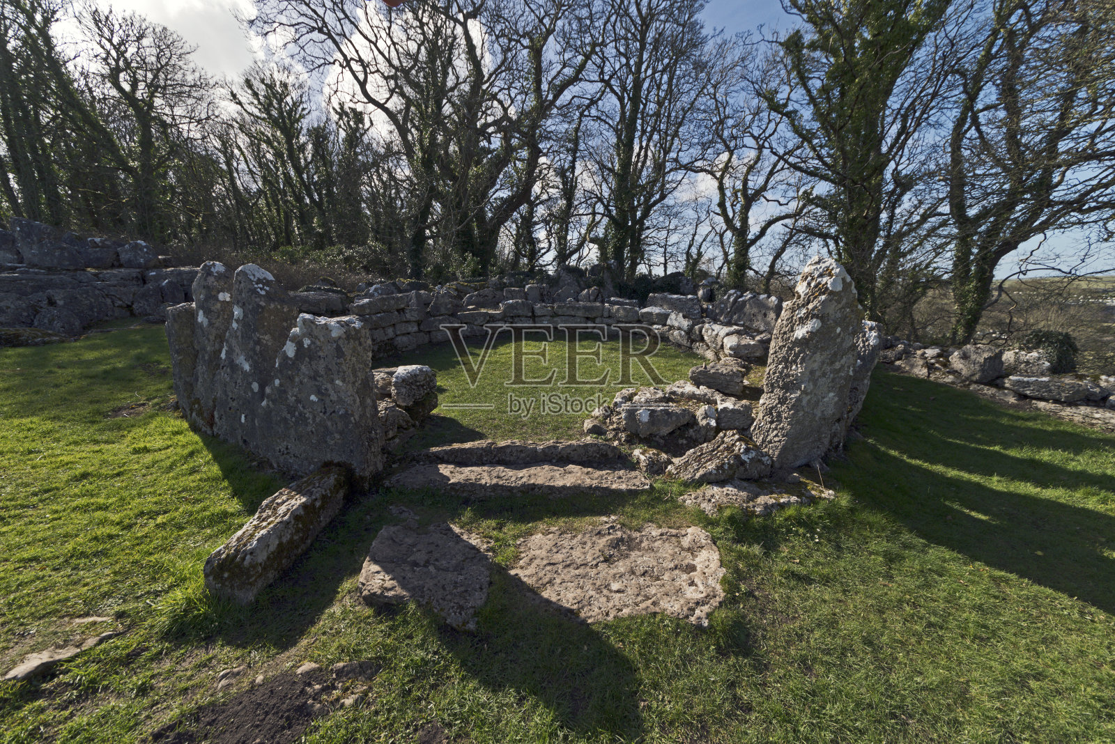 你的卢格威照片摄影图片