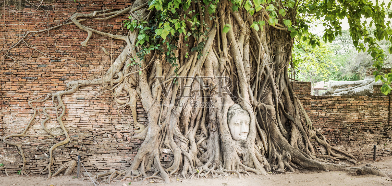 佛祖在玛哈塔寺照片摄影图片