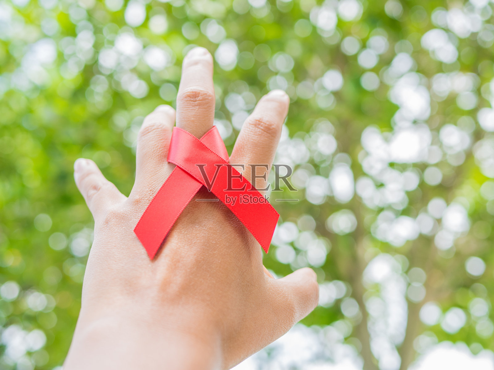 世界艾滋病日的概念。手握红丝带，枝叶散景作背景。照片摄影图片