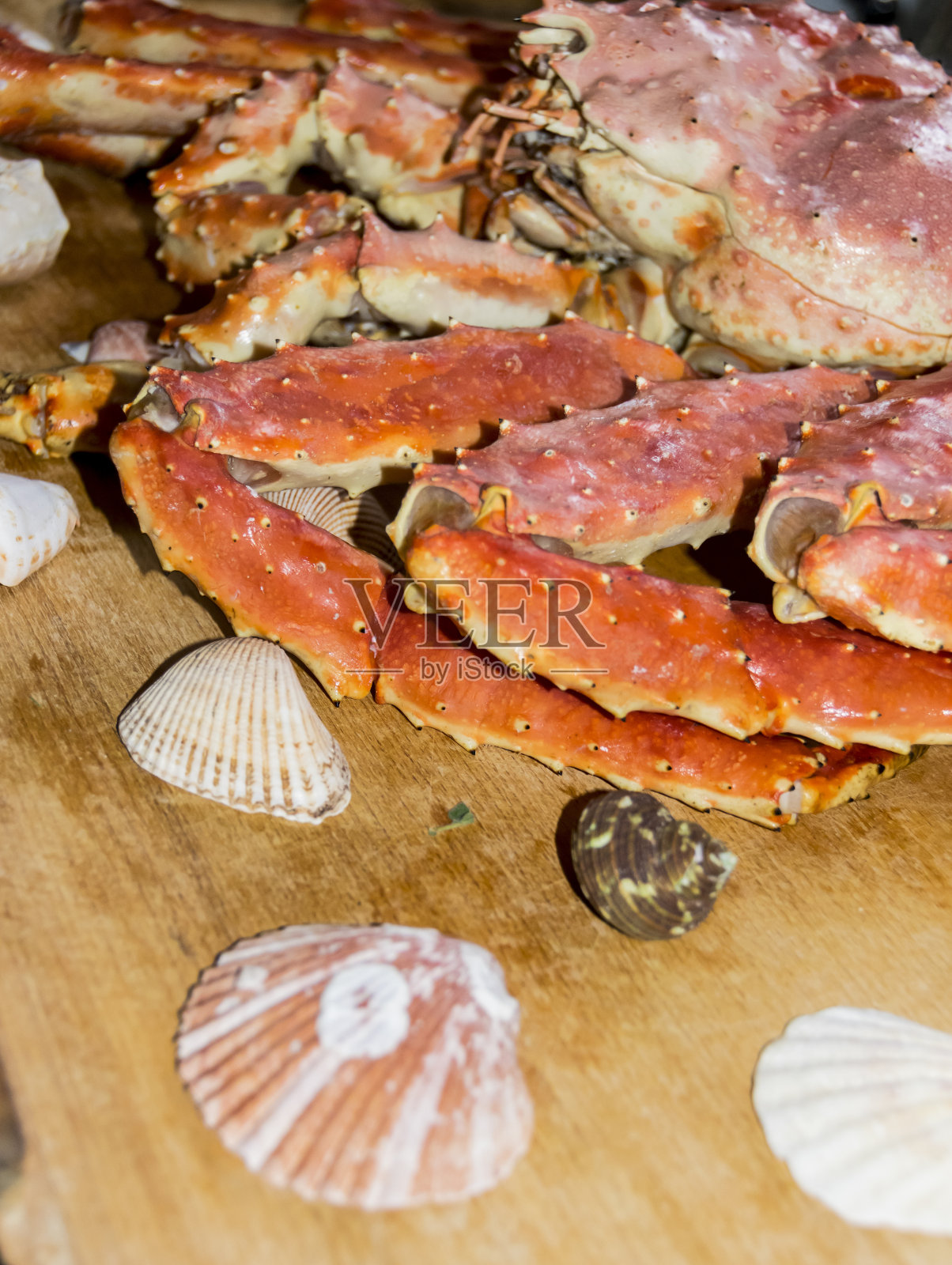 贝壳和螃蟹照片摄影图片