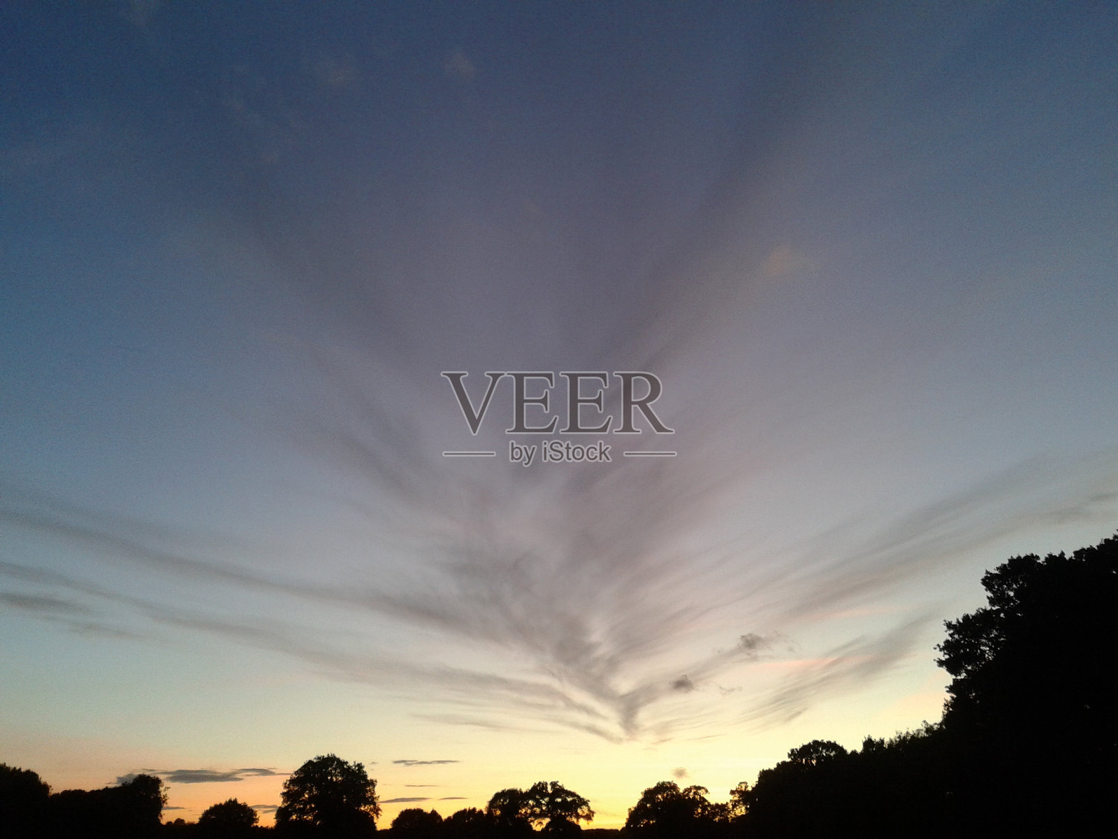 云的形成像一只巨大的鸟在日落的天空照片摄影图片