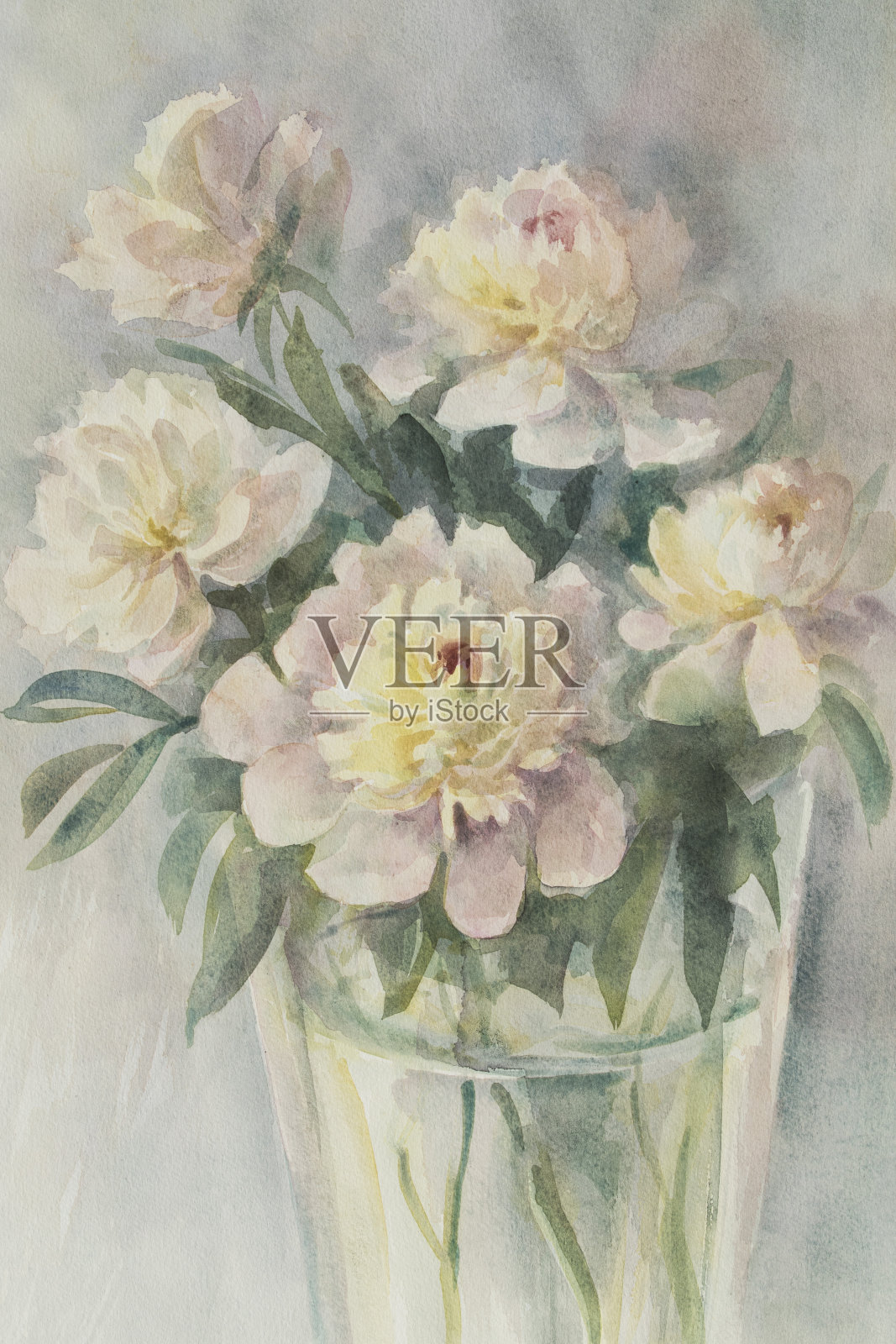 白色牡丹花束水彩画插画图片素材