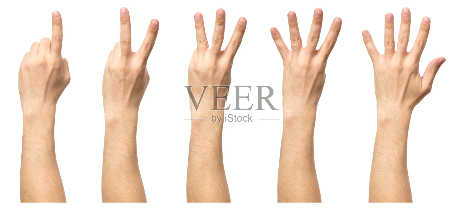 男性的手从1数到5，孤立在白色背景上照片摄影图片