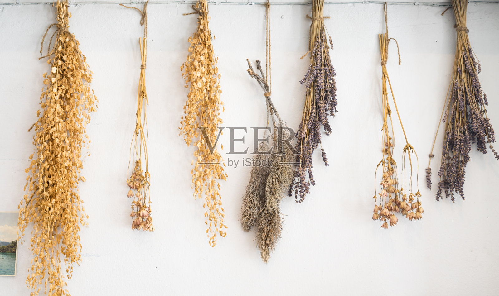 干花挂绳白色背景照片摄影图片