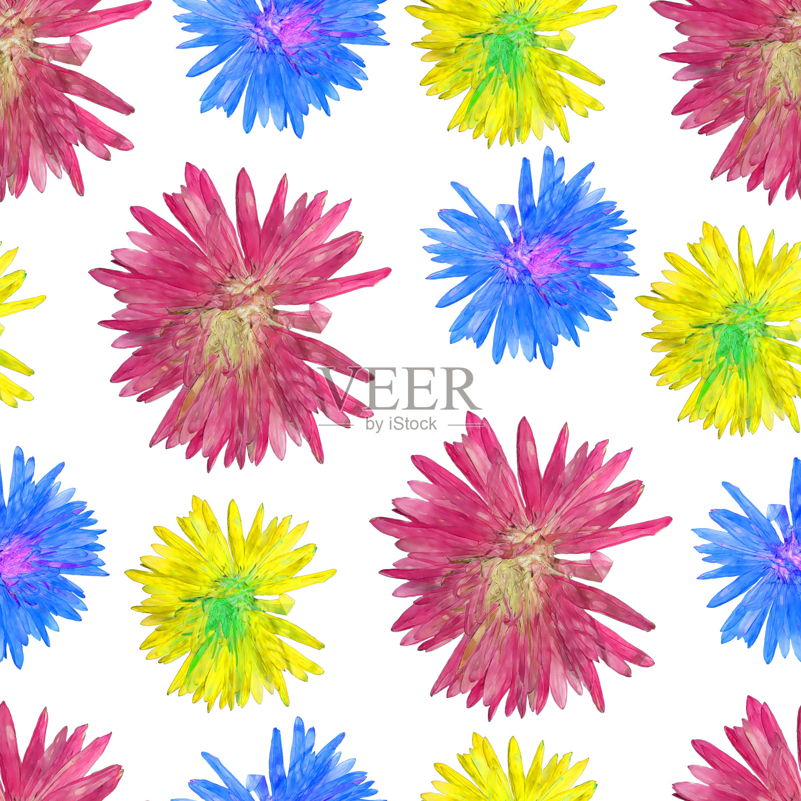 紫菀属植物。花型纹理无缝。花背景，照片拼贴照片摄影图片