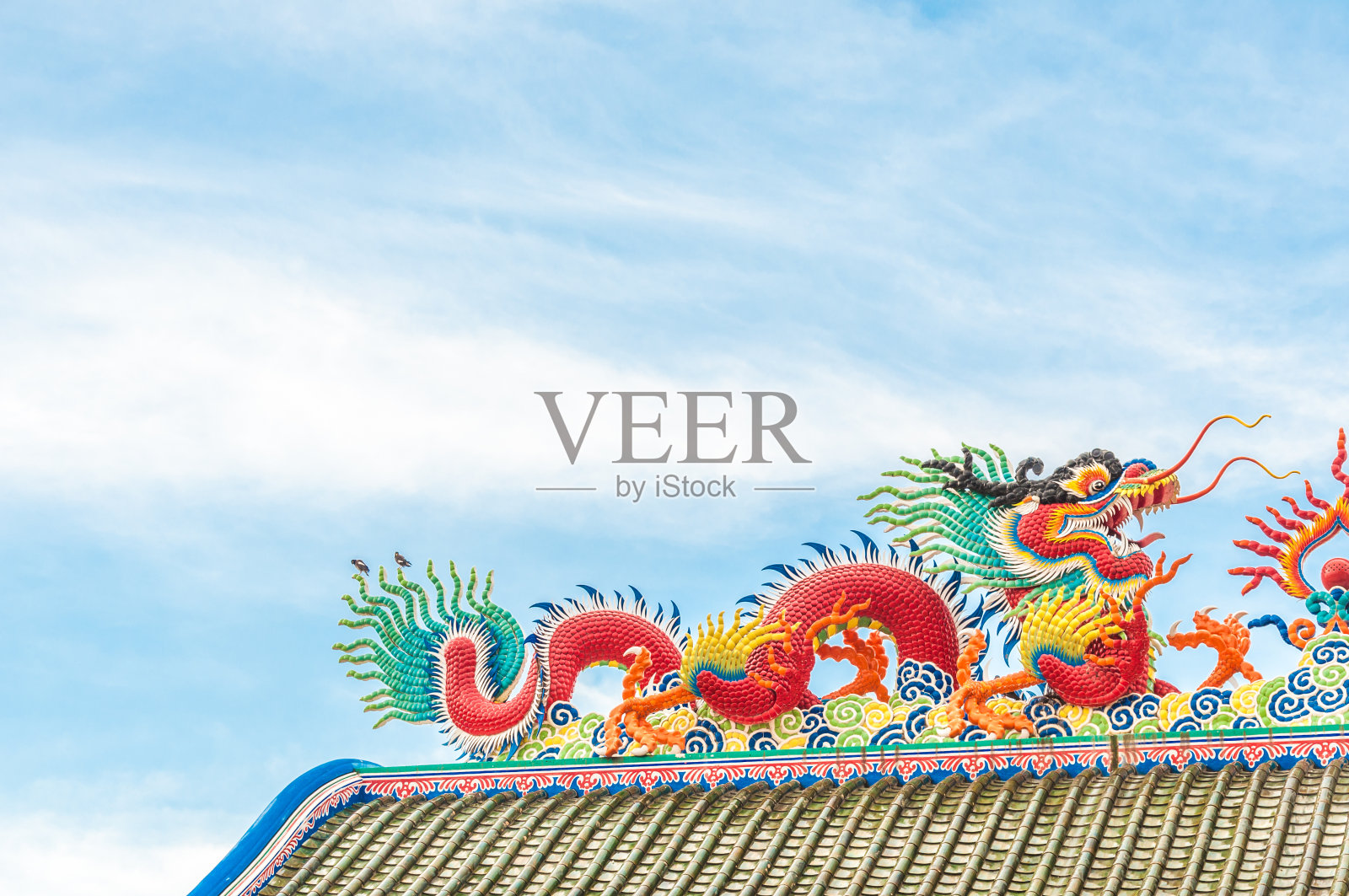 龙像可以用作背景照片摄影图片