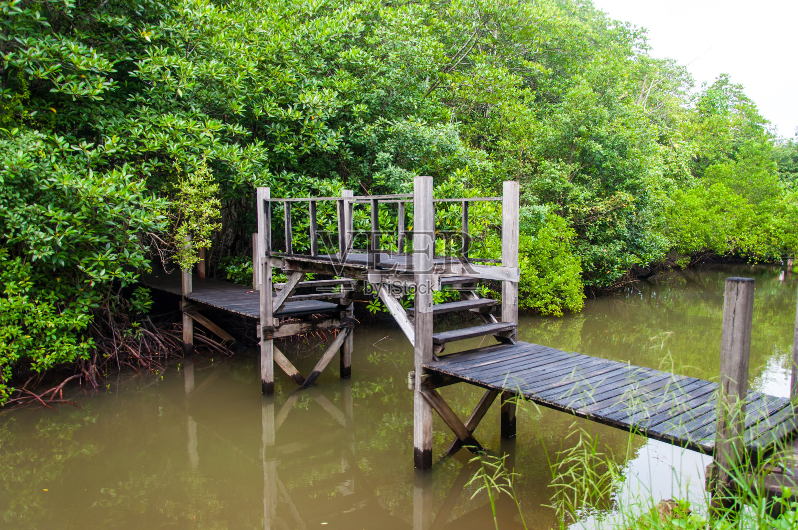红树林中的一座小木桥横跨一条河照片摄影图片
