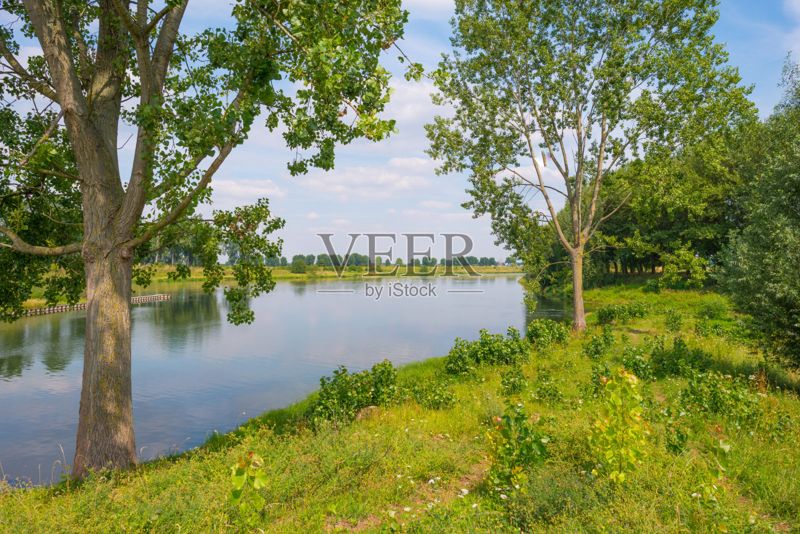 夏日阳光下的湖岸照片摄影图片