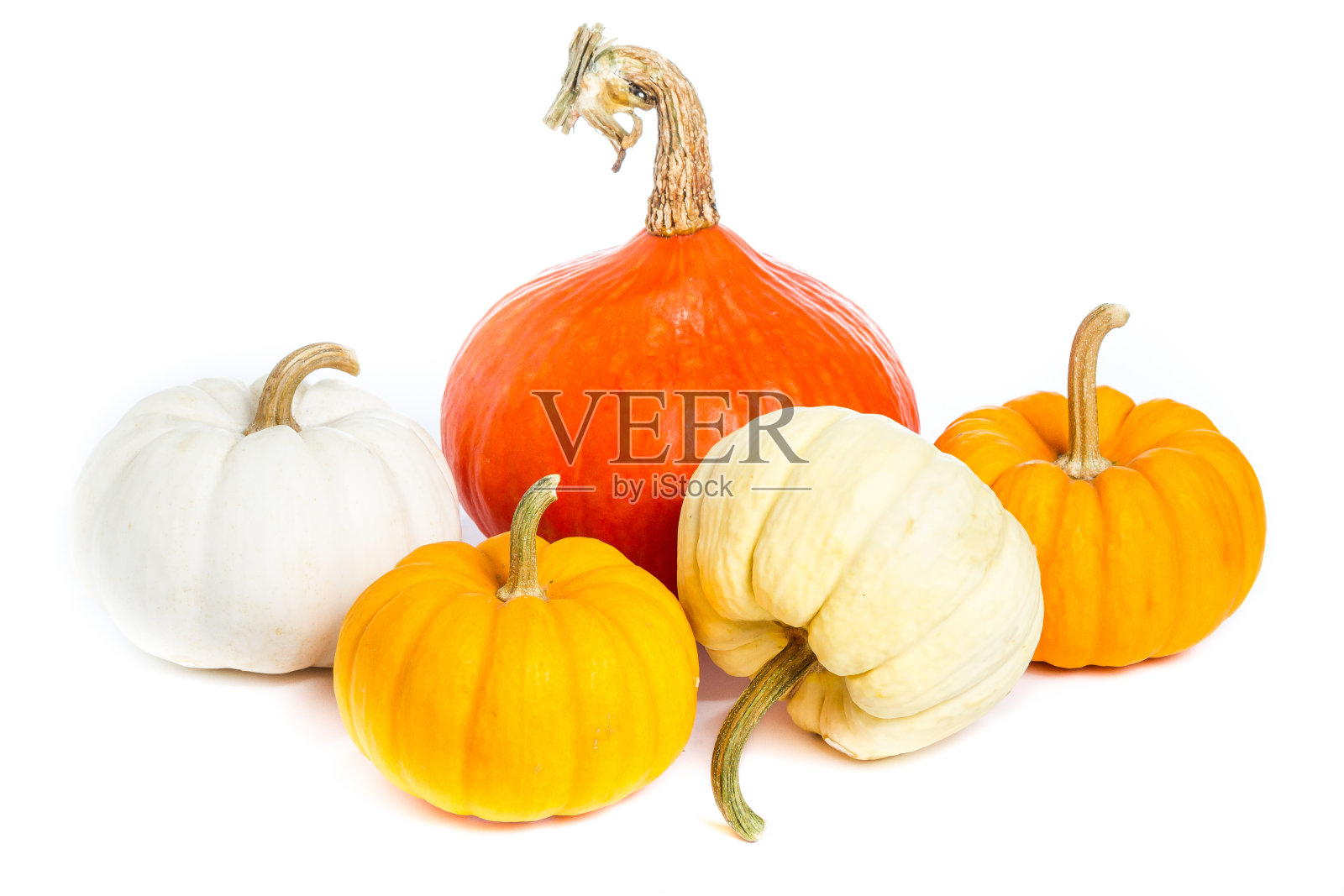 孤立的南瓜照片摄影图片