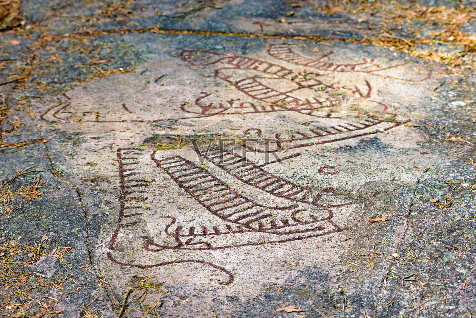 岩画照片摄影图片