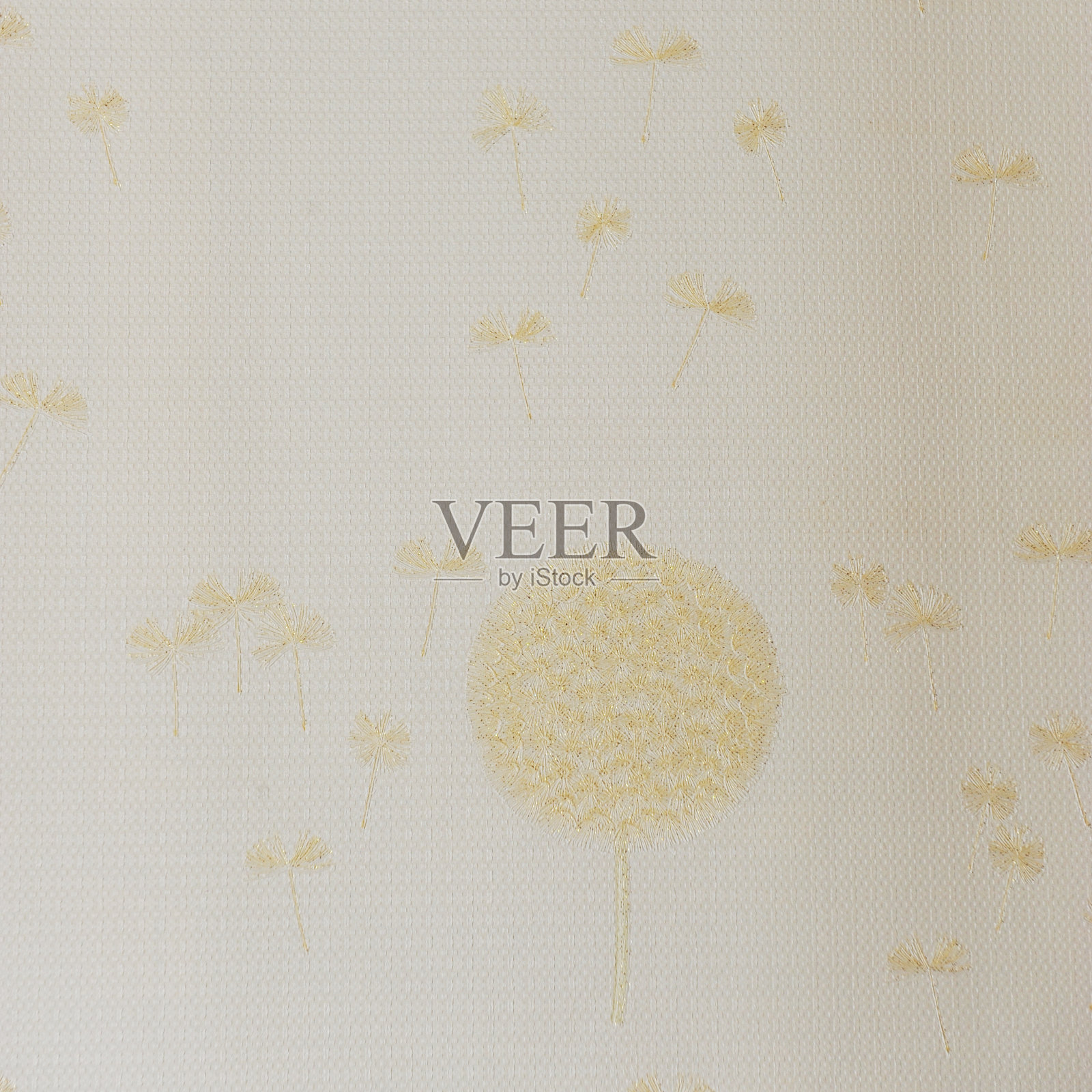 蒲公英无缝的背景照片摄影图片