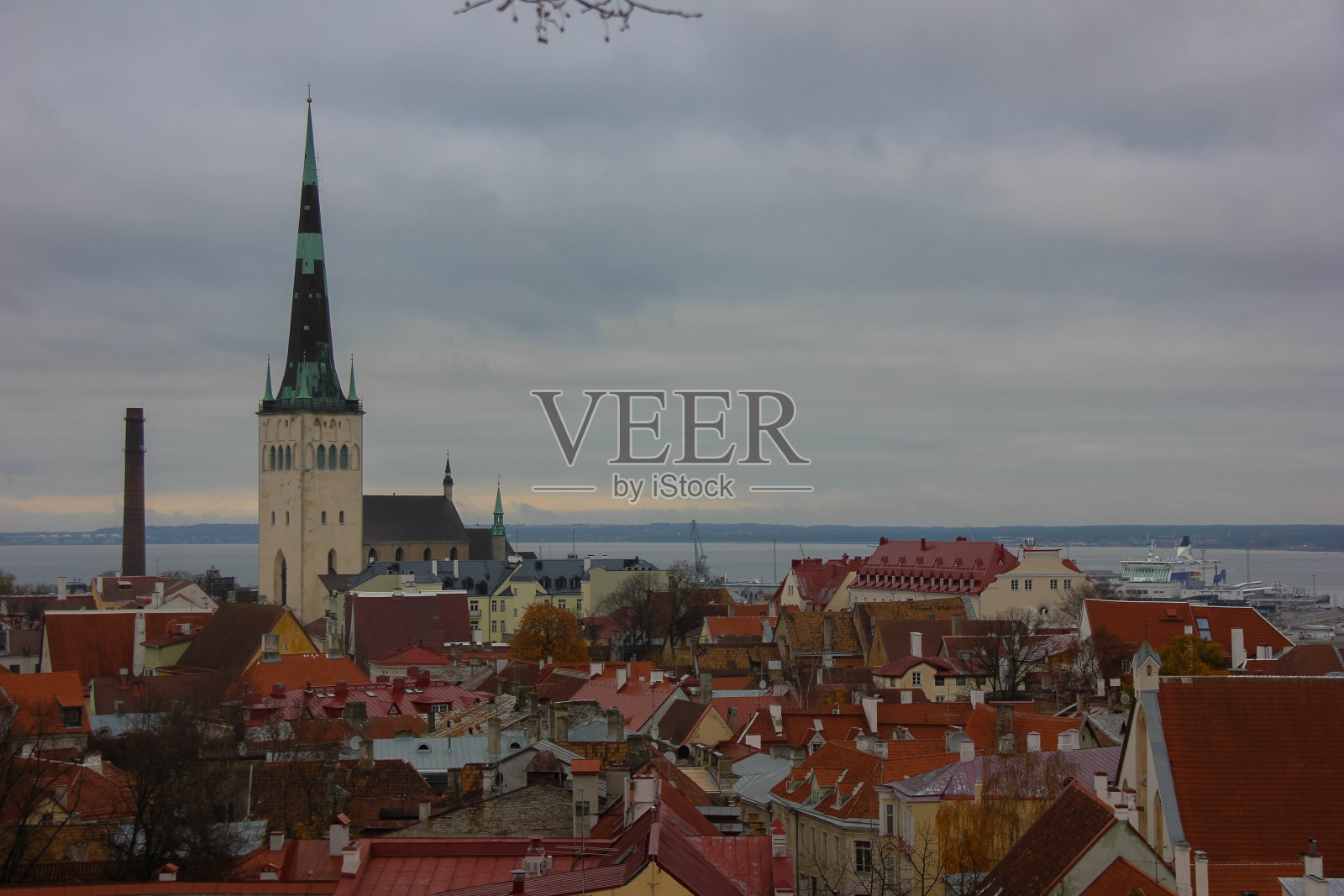 塔林全景从上面。砖色的屋顶。照片摄影图片