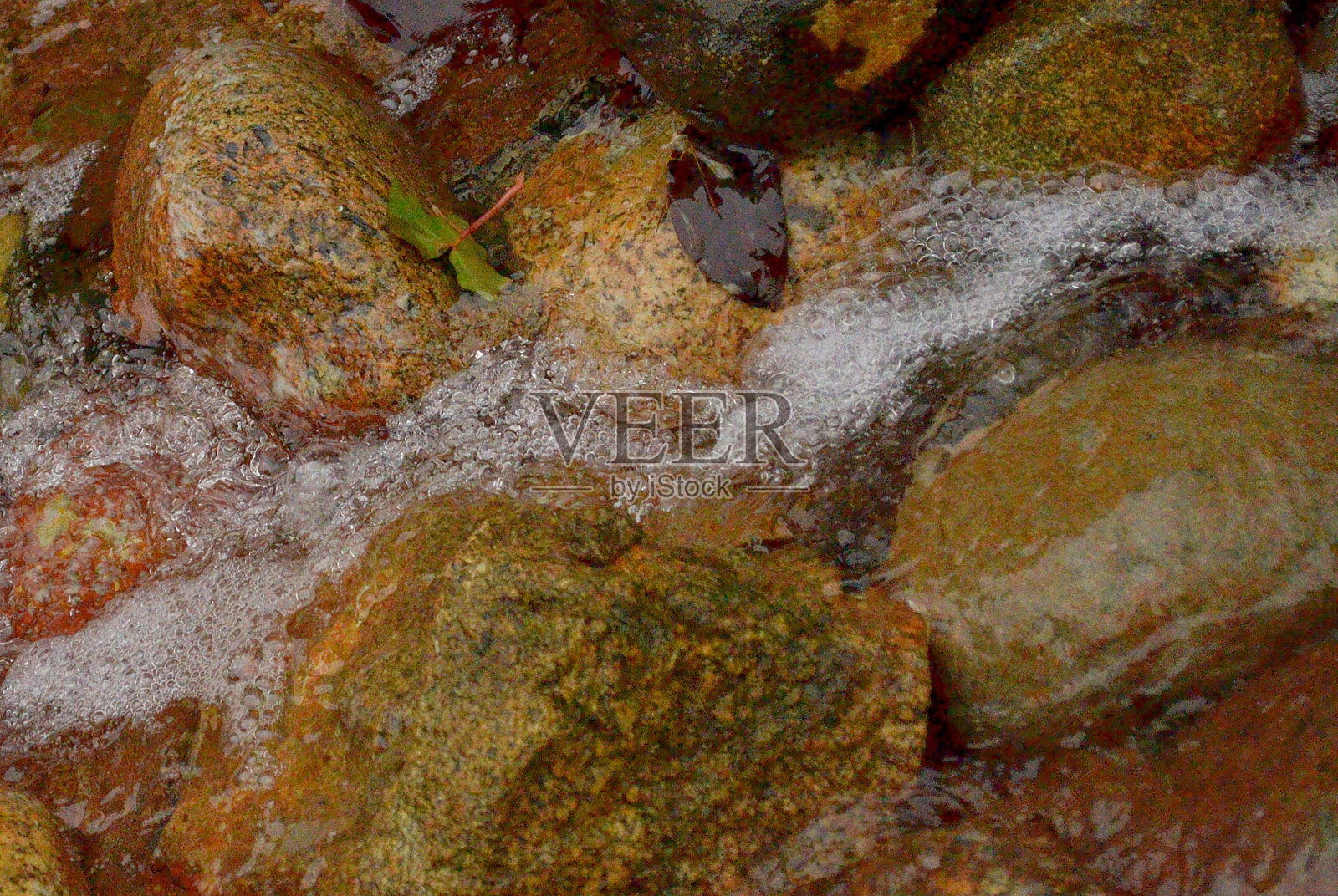 中国园林照片摄影图片