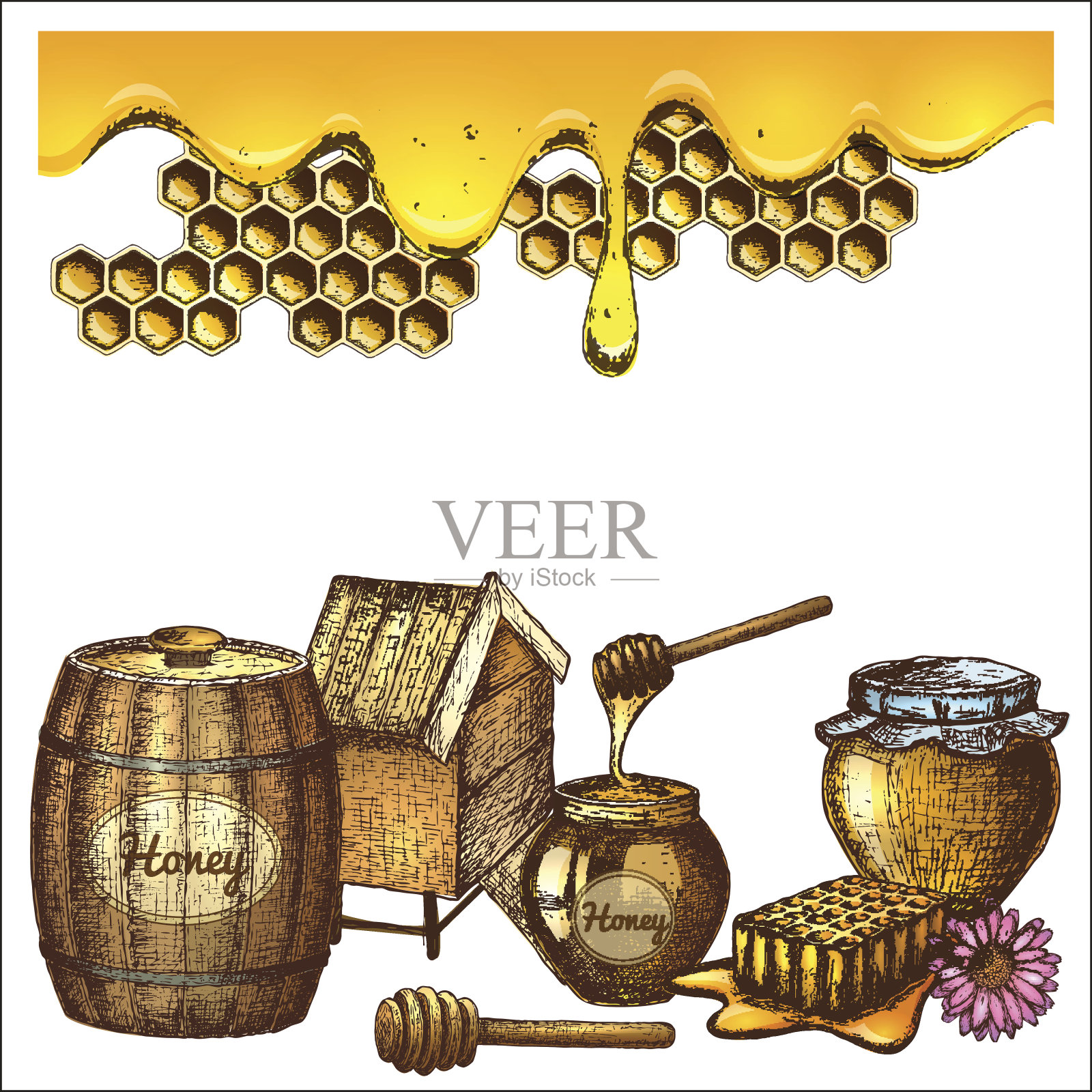 蜂蜜素描集插画图片素材