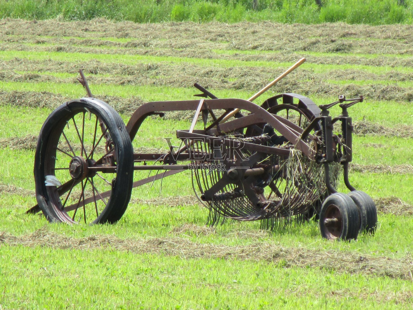 有Rake照片摄影图片