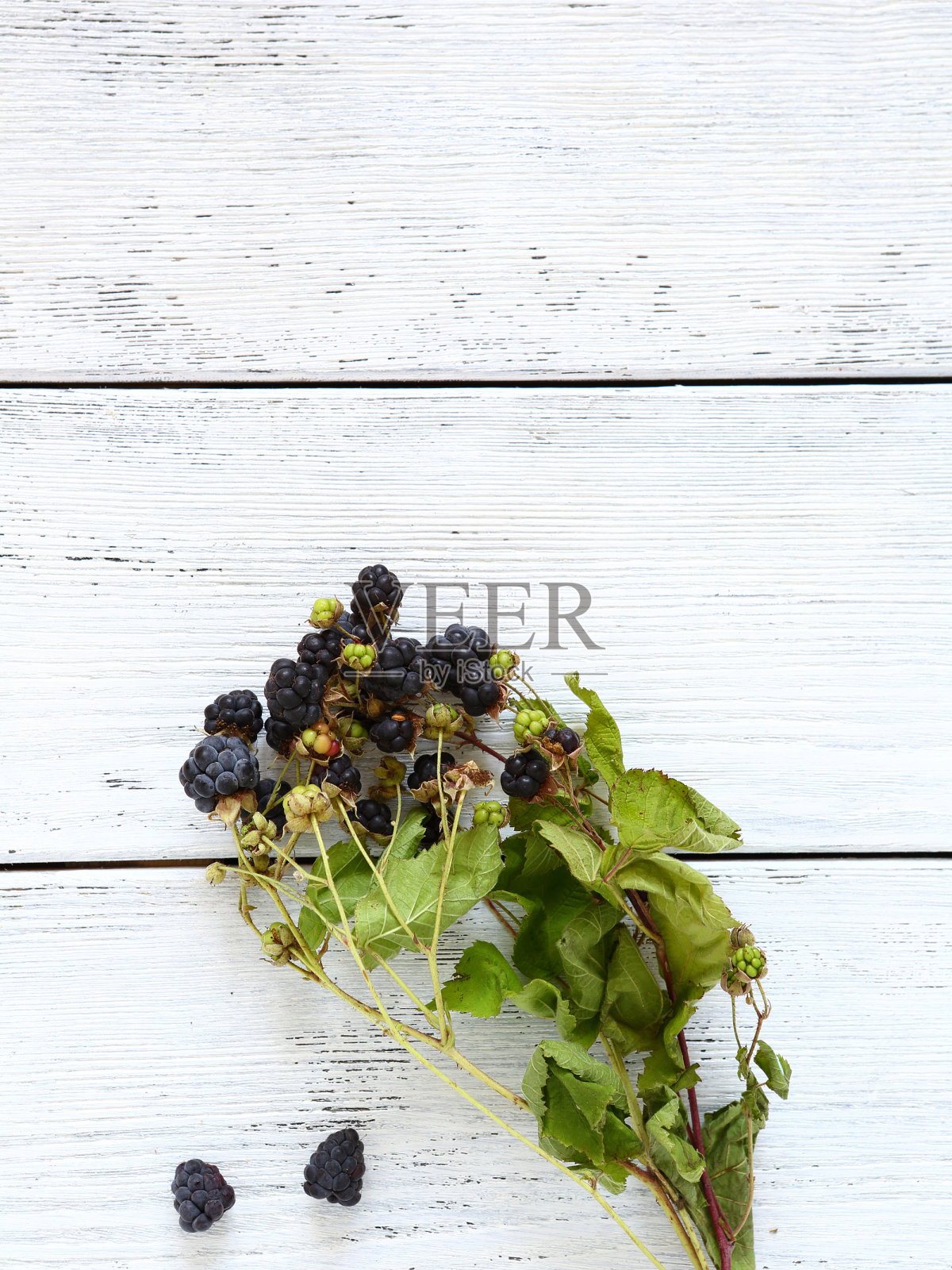 成熟的黑莓放在木板上照片摄影图片