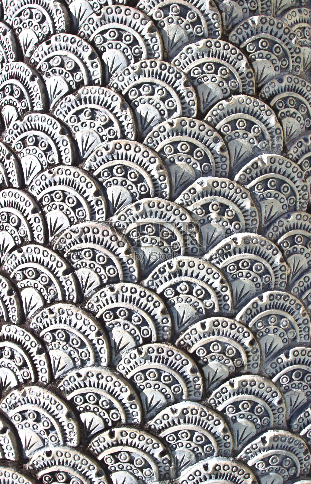 龙规模照片摄影图片