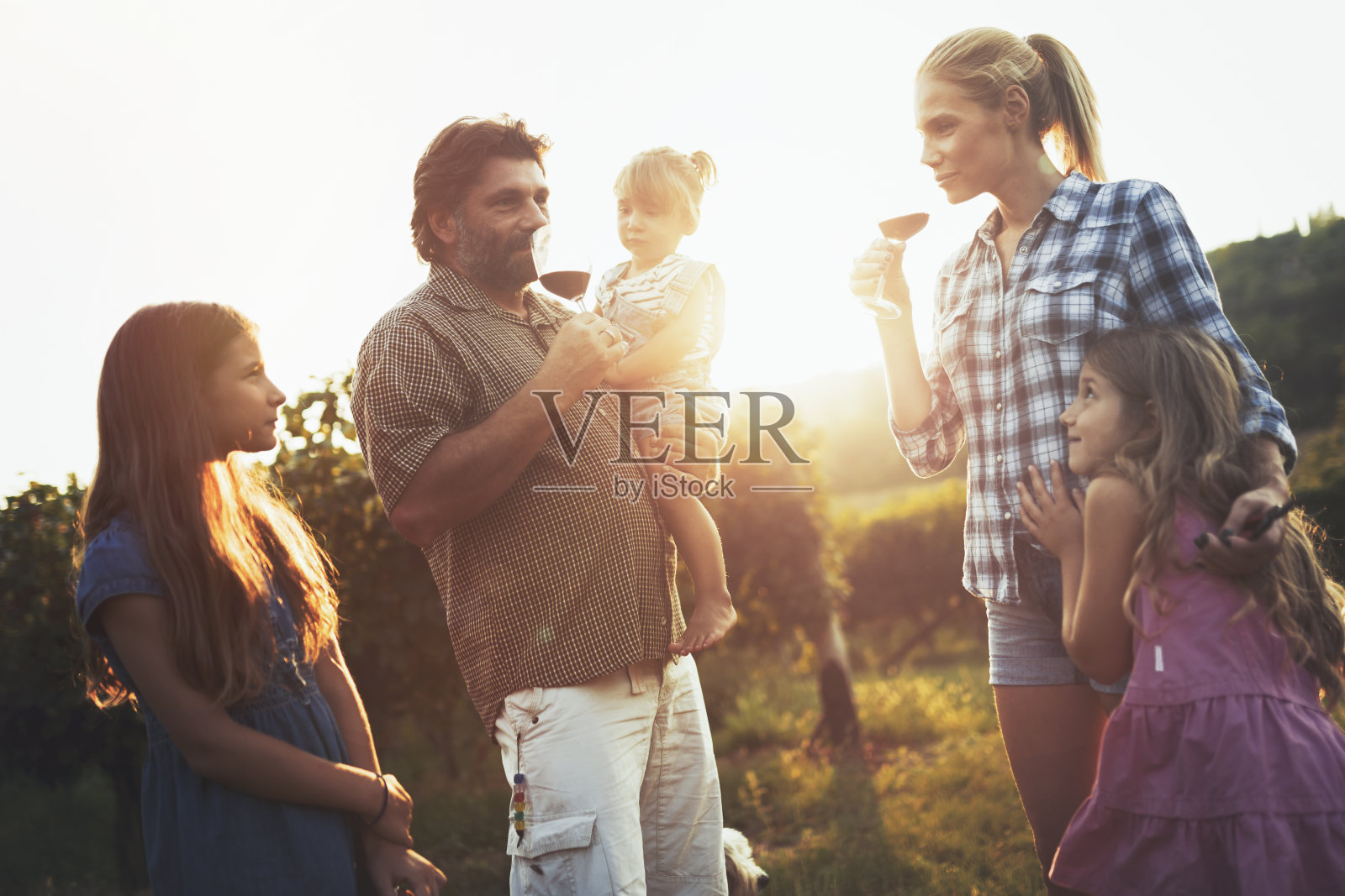 酿酒师一家人在葡萄园里照片摄影图片