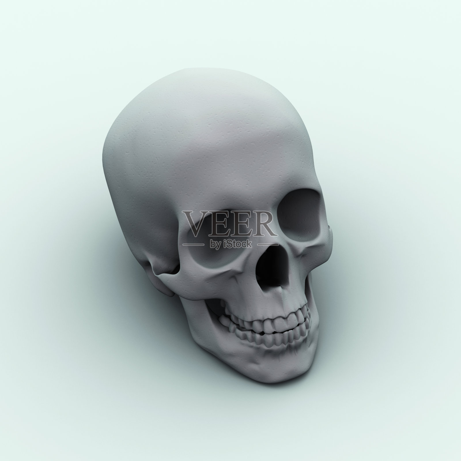 头骨照片摄影图片