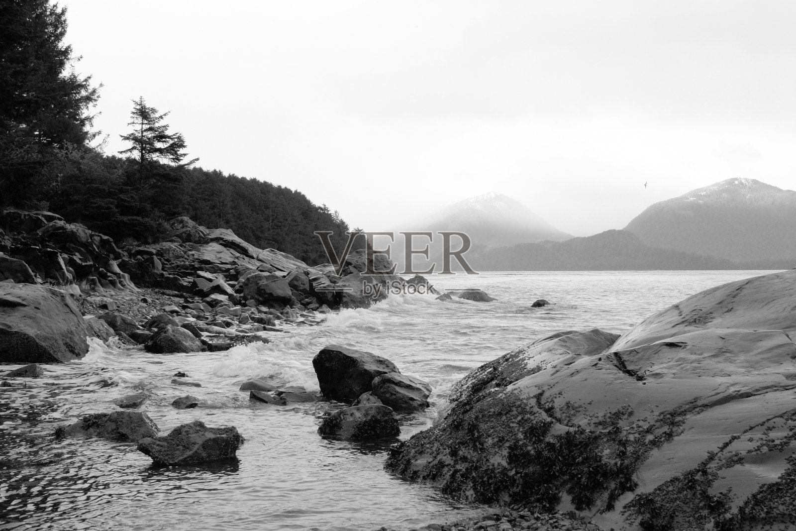 阿拉斯加湾照片摄影图片