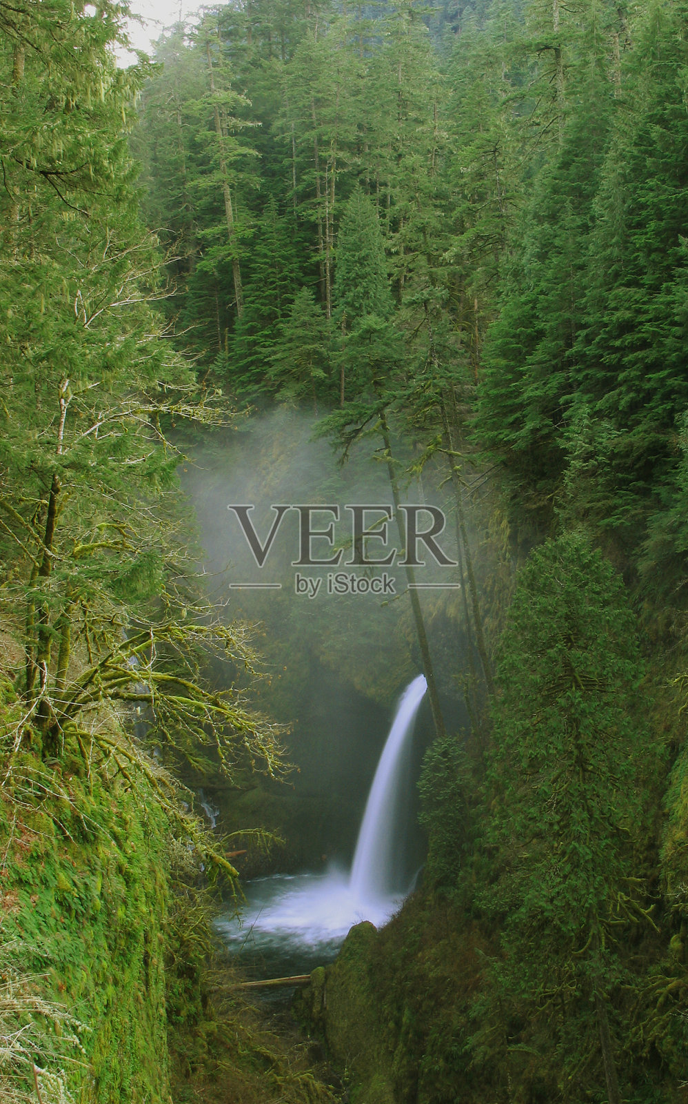 大森林中的梅特拉科瀑布照片摄影图片