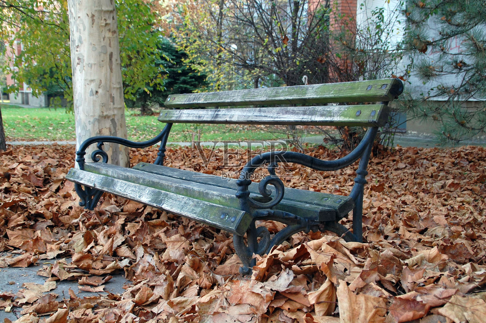 落叶中的长凳照片摄影图片