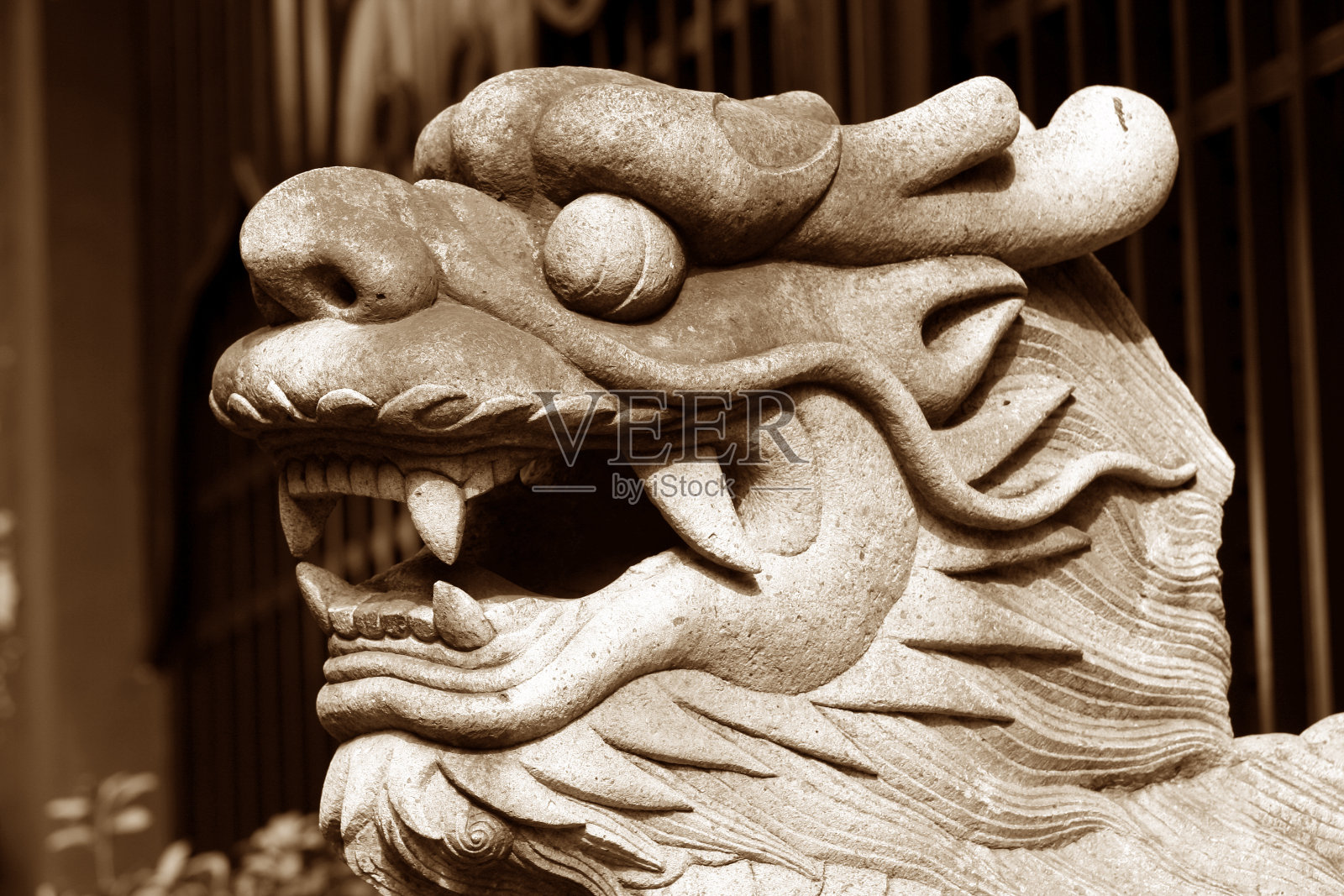 中国龙照片摄影图片