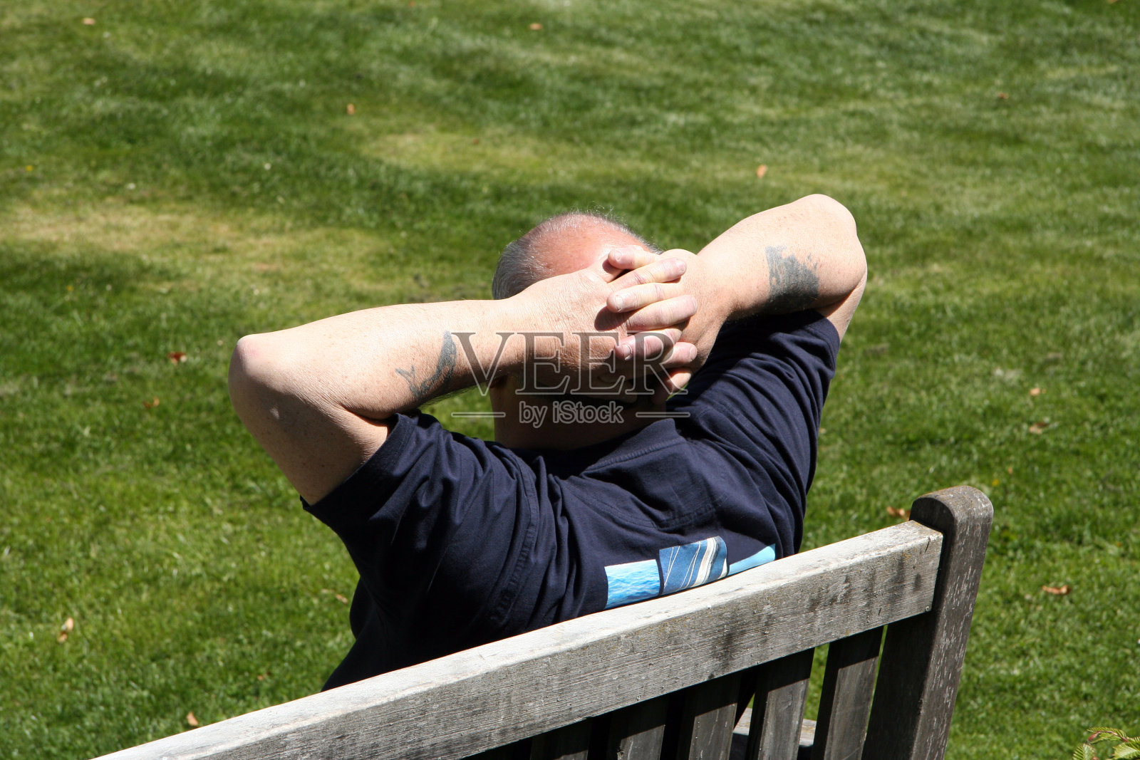 在阳光下照片摄影图片