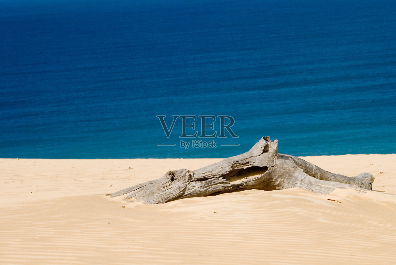 彩虹海滩沙丘/昆士兰/澳大利亚照片摄影图片