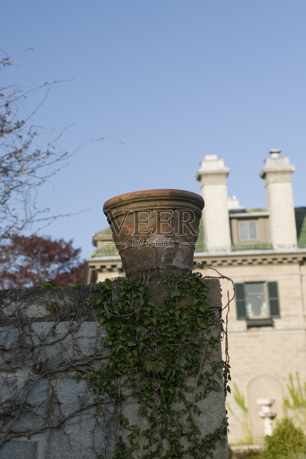 常春藤和一座古老的大厦照片摄影图片