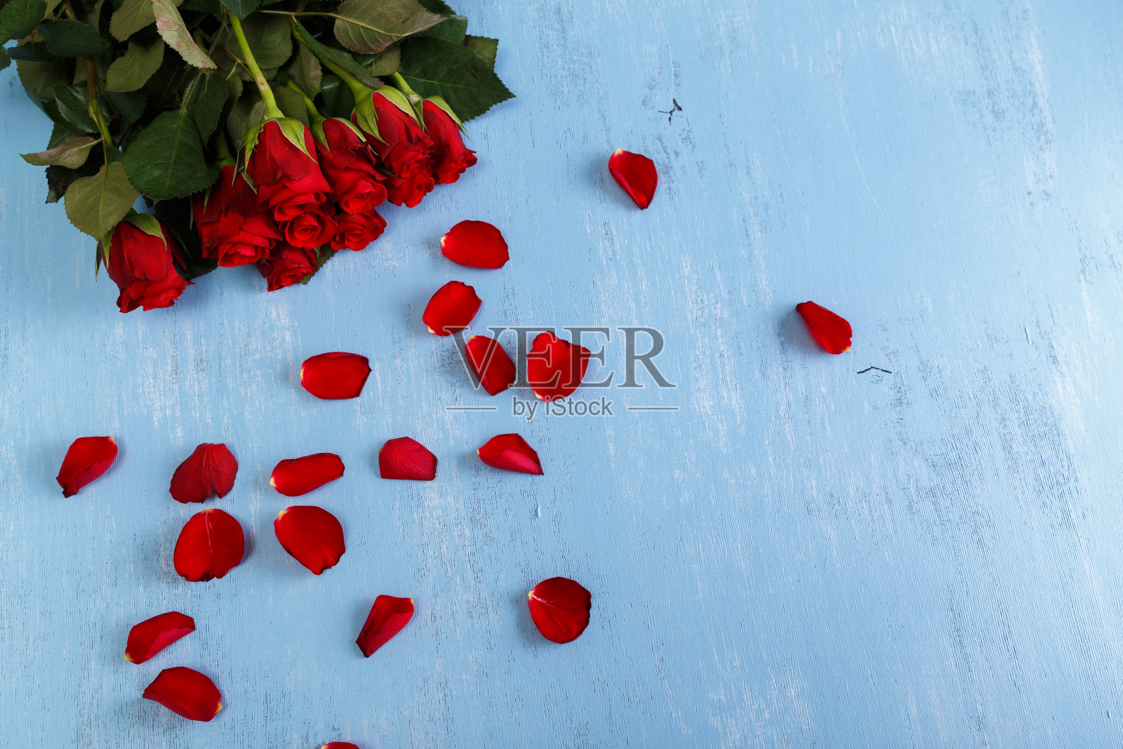 蓝色木质背景上的红玫瑰花瓣。照片摄影图片