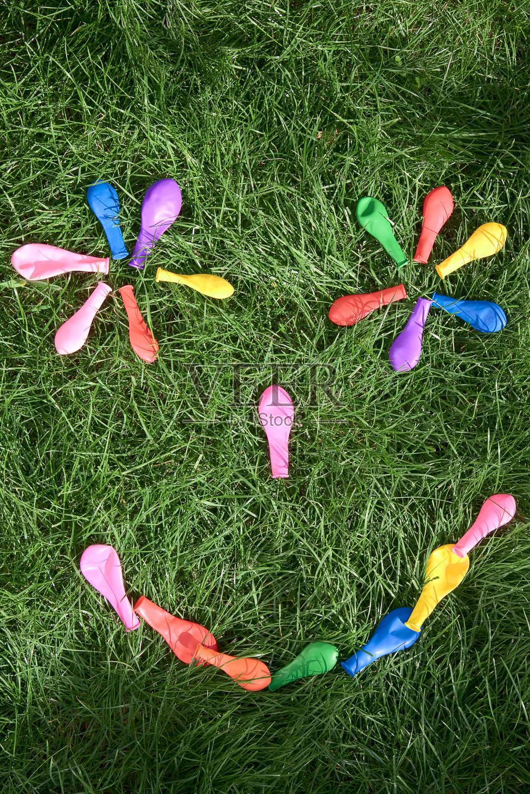 彩虹花照片摄影图片