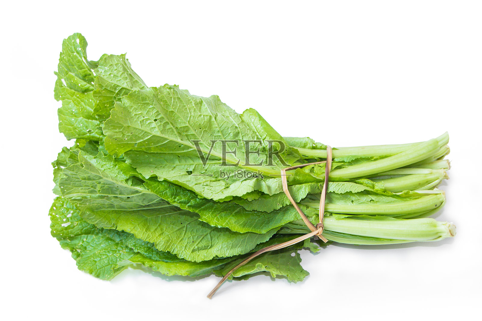 绿色的生菜照片摄影图片