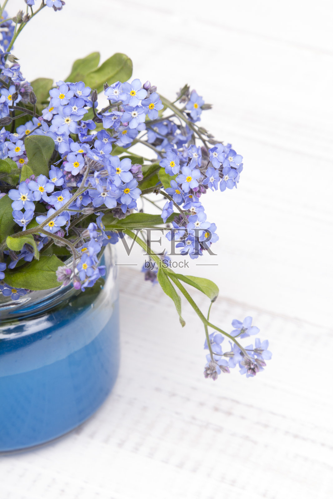 白色木质背景上的瓶中蓝色花朵照片摄影图片