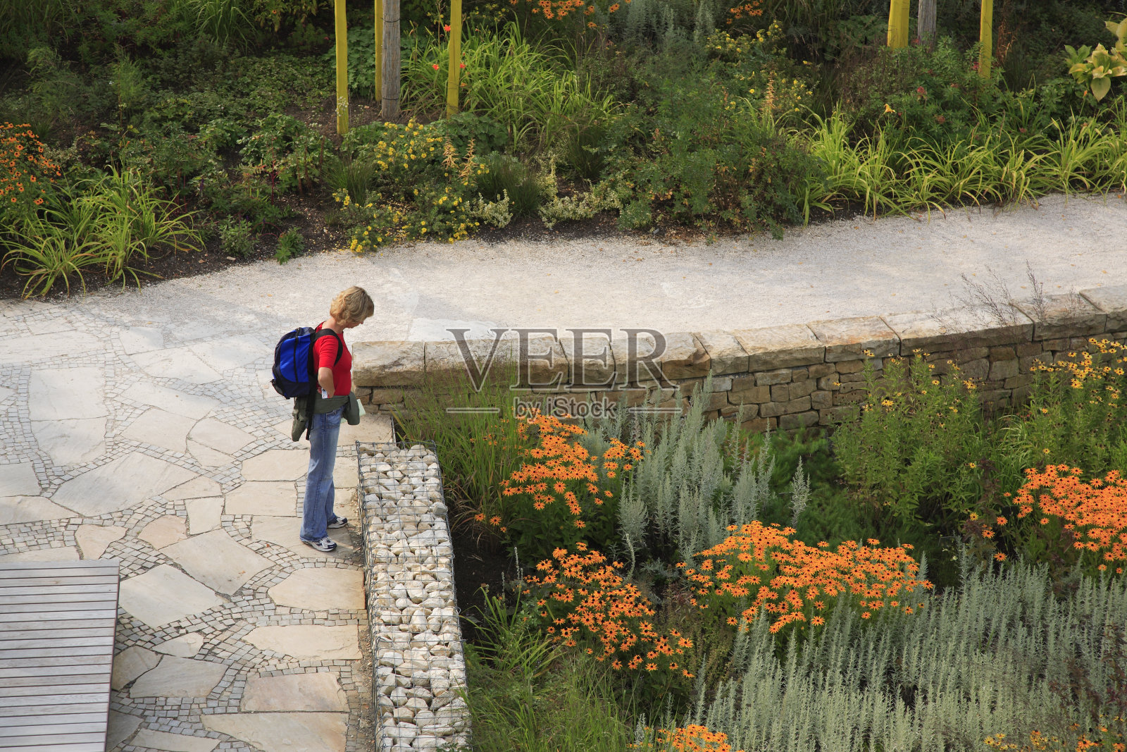女人和花照片摄影图片