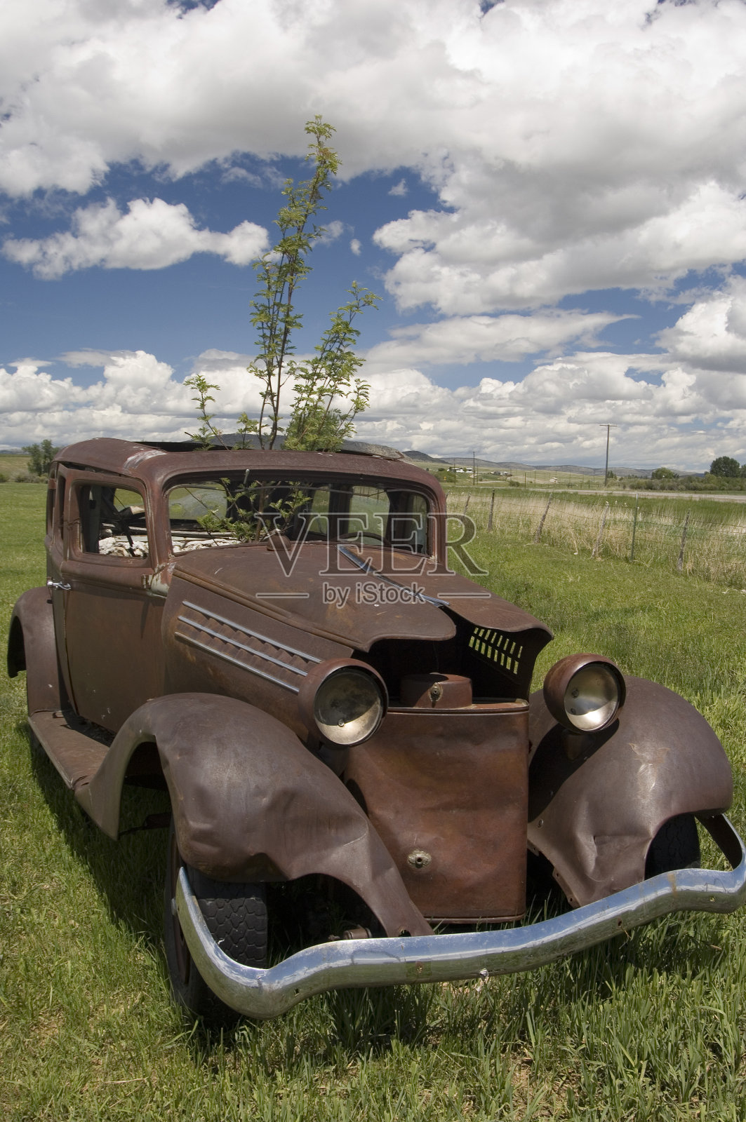 旧车和树照片摄影图片