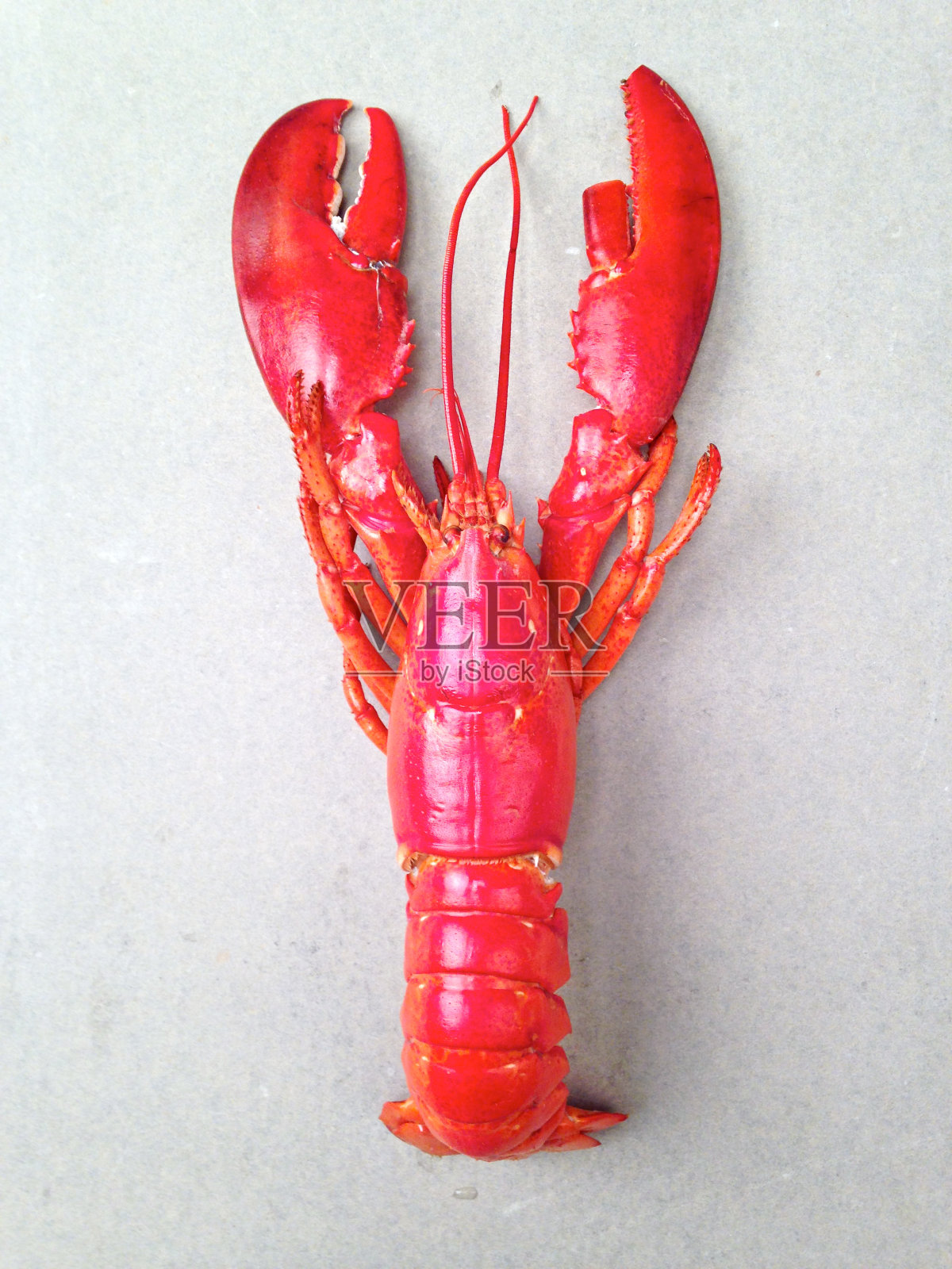 红龙虾照片摄影图片