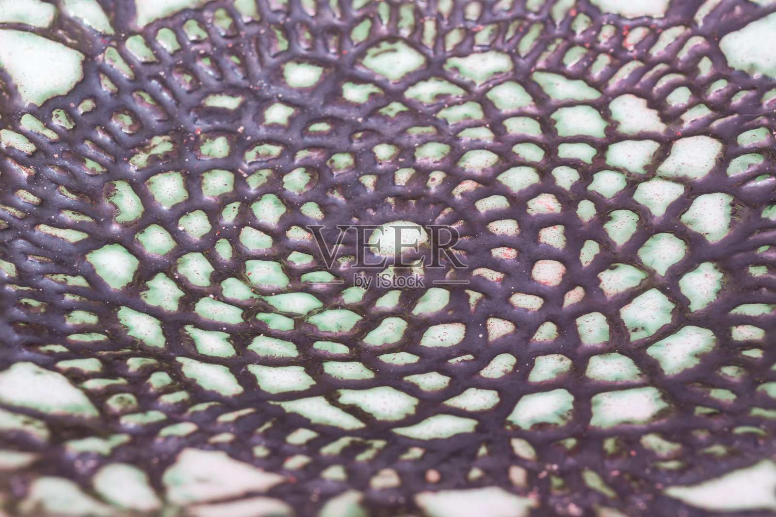 特写镜头色彩鲜艳的陶瓷照片摄影图片