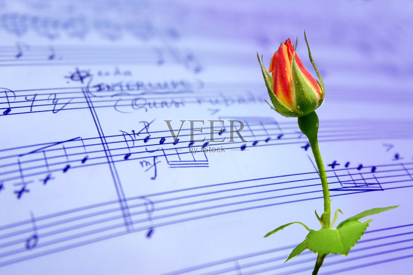 手写乐谱照片摄影图片