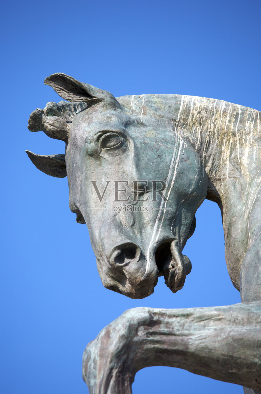 青铜马照片摄影图片