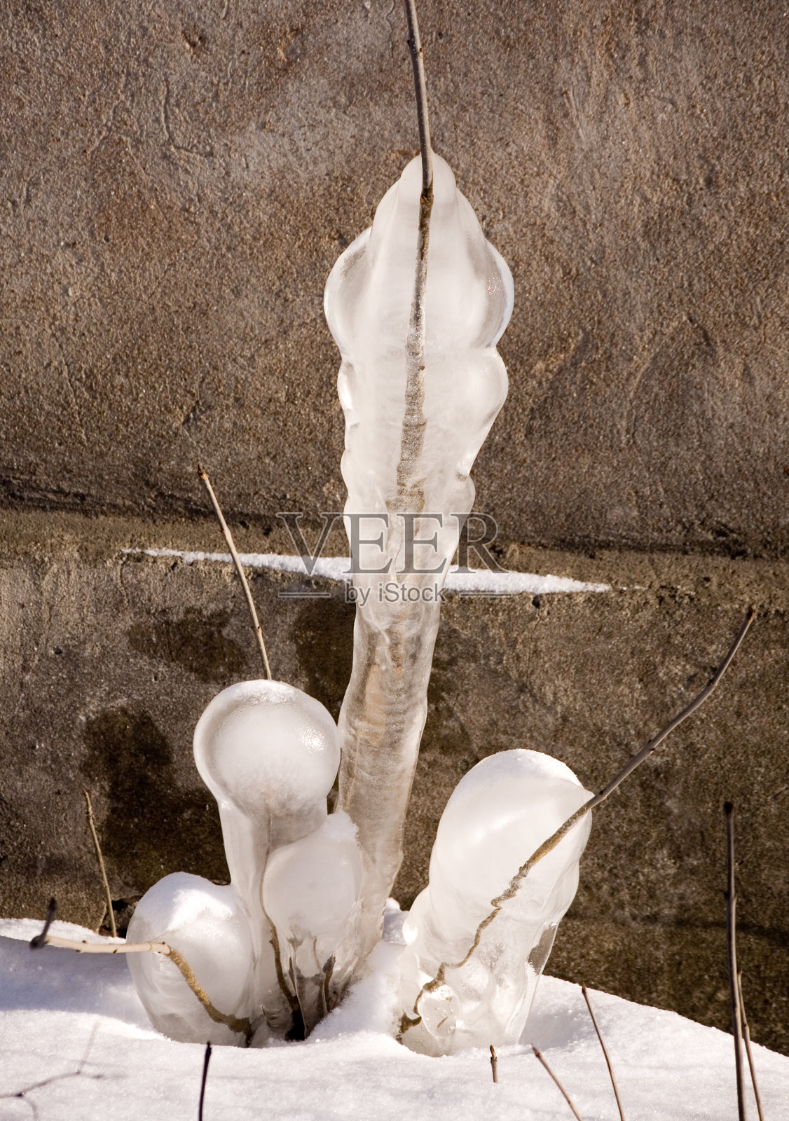 春天的感官享受照片摄影图片