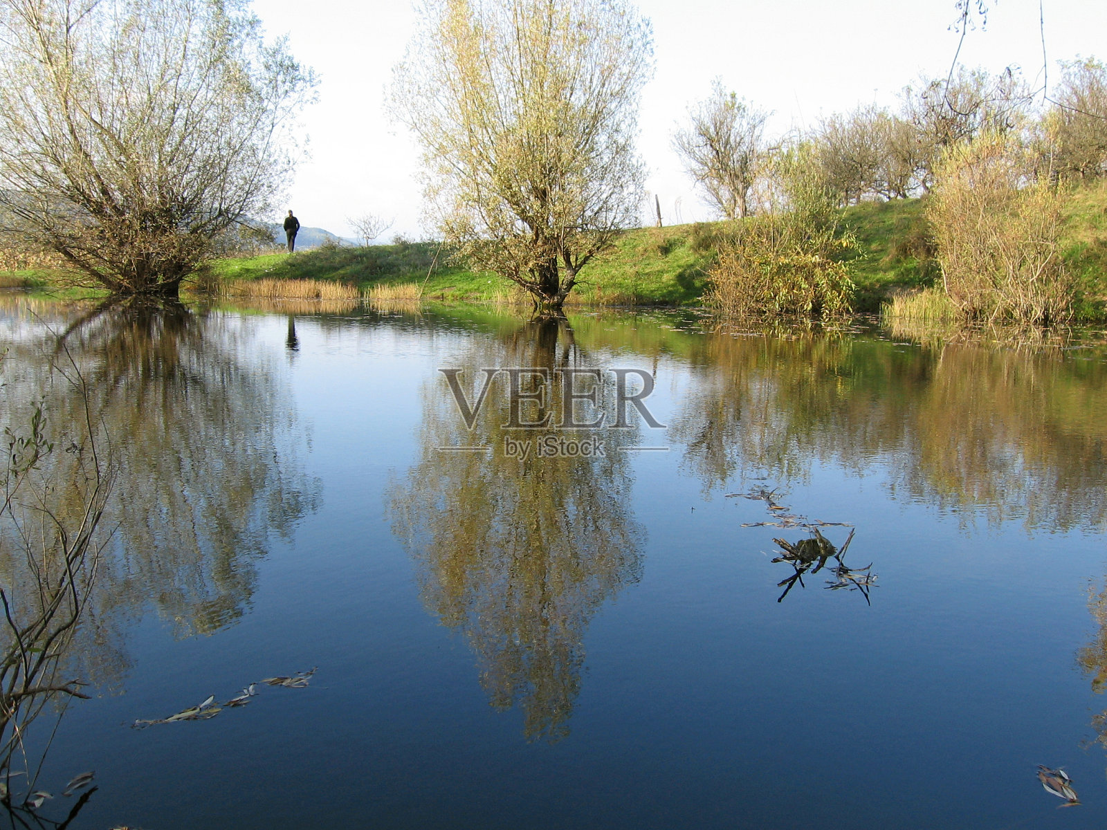 树在湖中倒映照片摄影图片