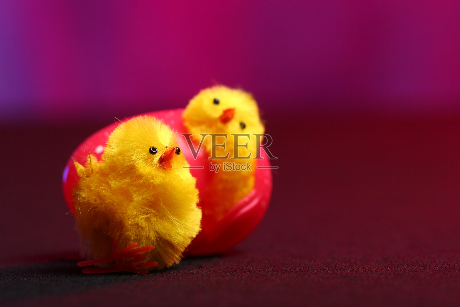复活节小鸡照片摄影图片